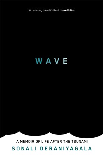 Wave: A Memoir of Life After the Tsunami von Virago